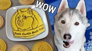 'Doge Coin Dog Treats 